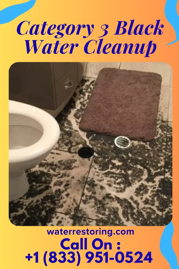 Category 3 Black Water Cleanup in Fairview, OH