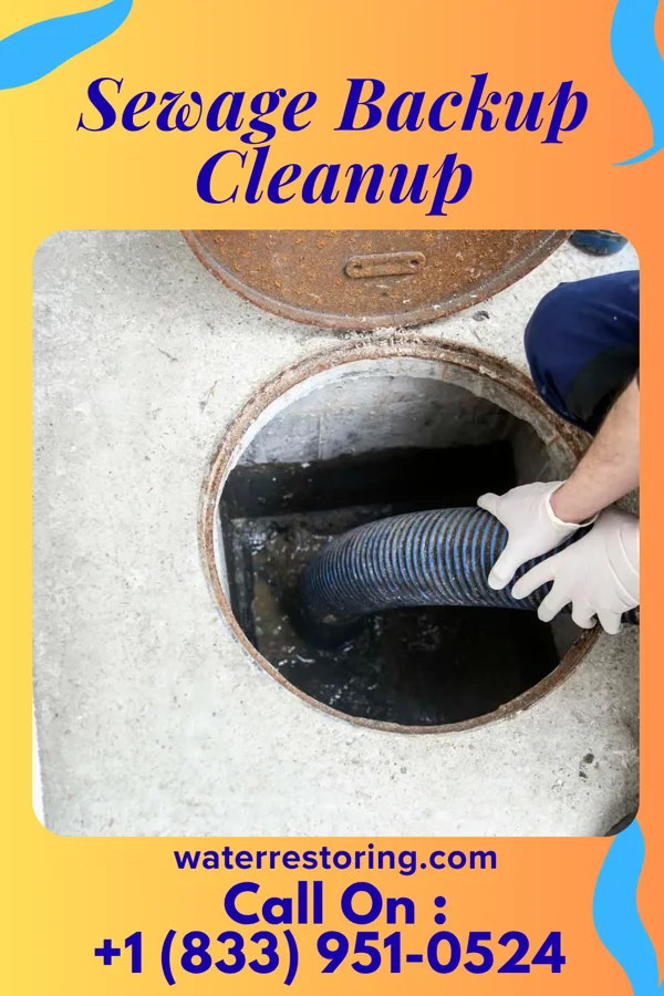 Sewage Backup Cleanup in Fairview, OH