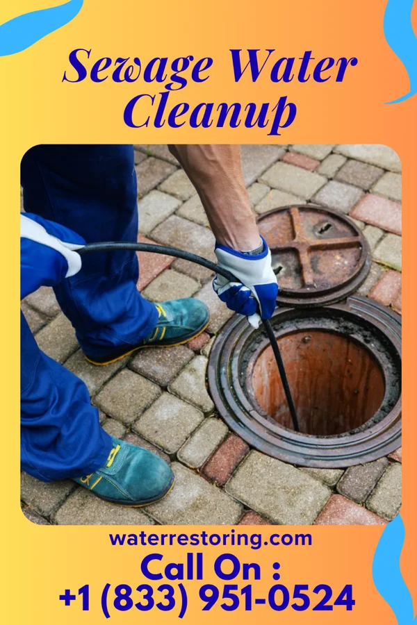 Sewage Water Cleanup in Fairview, OH