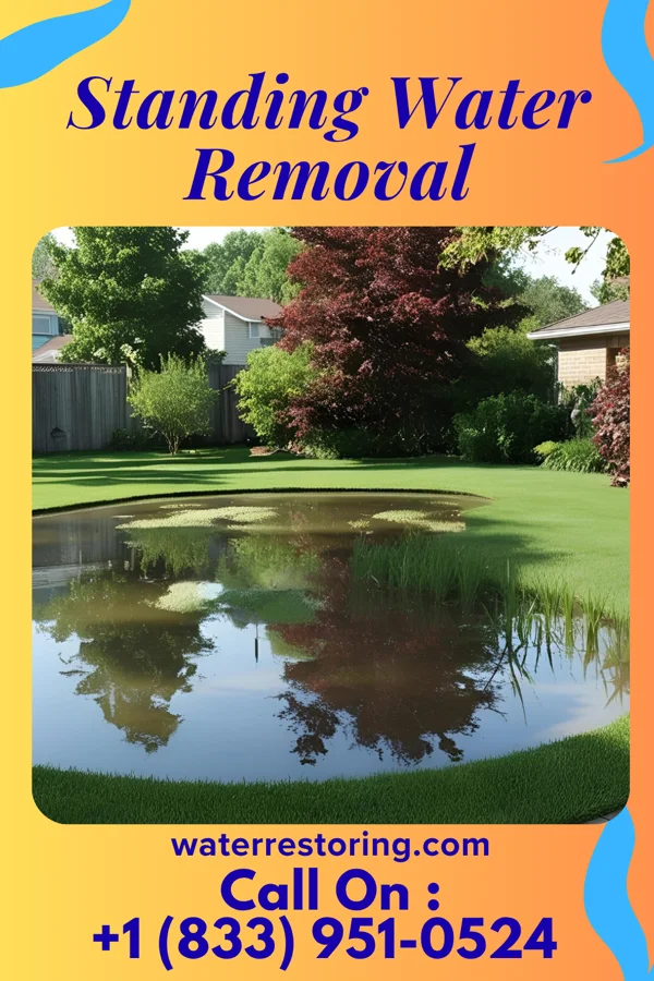 Standing Water Removal in Fairview, OH